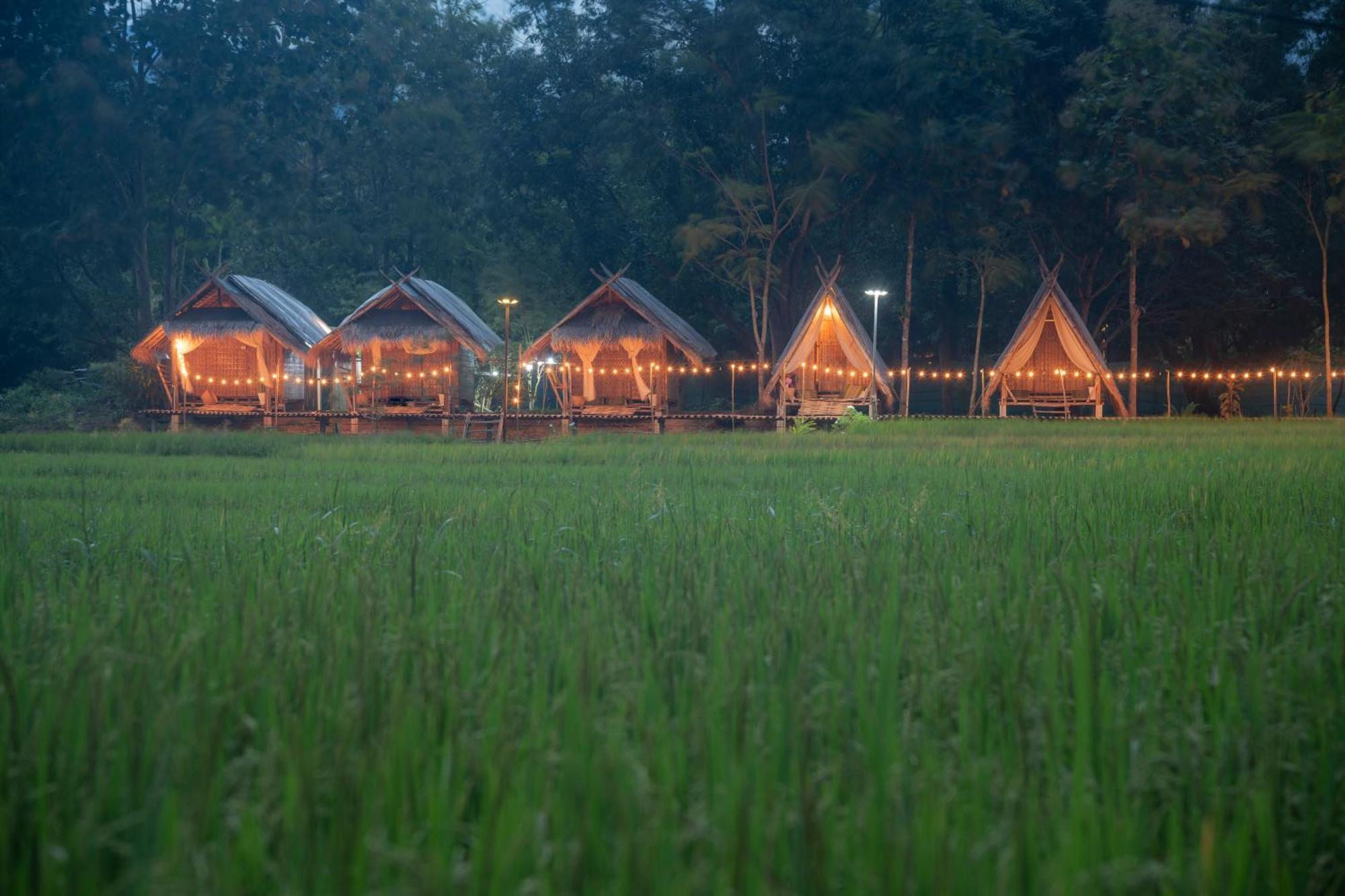 Paddy Fields Haven - Natures Nest Pai Exterior foto